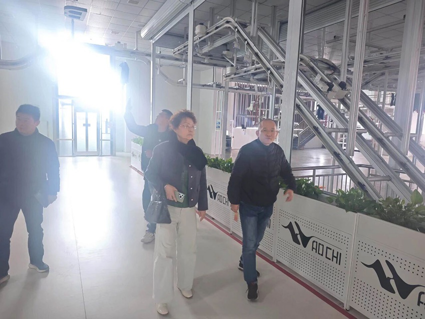 1763430563126199.jpg 3.jpg